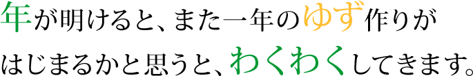 年が明けると、また一年のゆず作りがはじまるかと思うと、わくわくしてきます。